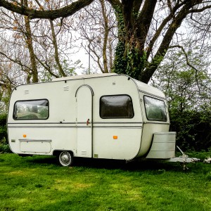 fotos blog website ploem 2014 lowres-loes|foto-26